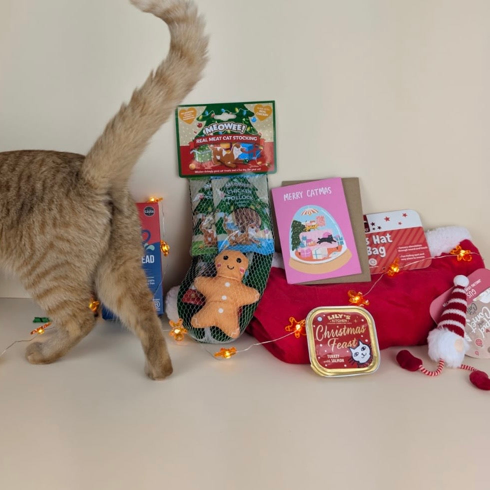 Monthly Subscription Box